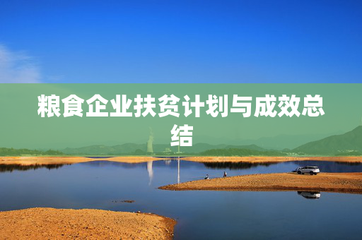 粮食企业扶贫计划与成效总结