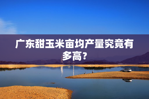 广东甜玉米亩均产量究竟有多高？