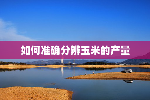 如何准确分辨玉米的产量