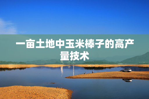 一亩土地中玉米棒子的高产量技术