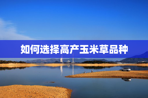 如何选择高产玉米草品种