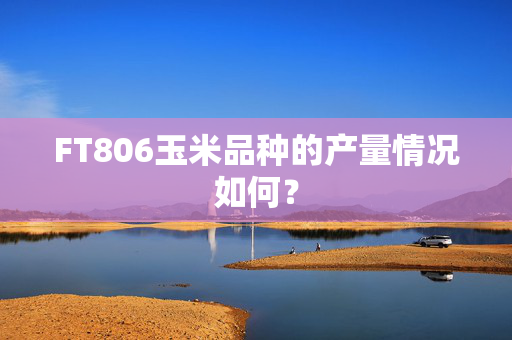 FT806玉米品种的产量情况如何？