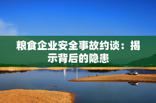 粮食企业安全事故约谈：揭示背后的隐患