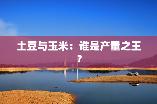 土豆与玉米：谁是产量之王？