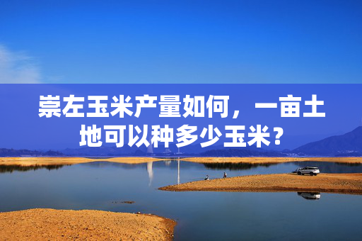 崇左玉米产量如何，一亩土地可以种多少玉米？