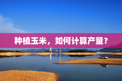 种植玉米，如何计算产量？