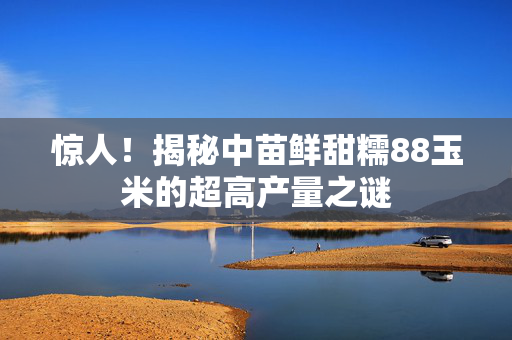 惊人！揭秘中苗鲜甜糯88玉米的超高产量之谜