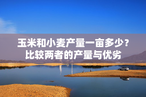 玉米和小麦产量一亩多少？比较两者的产量与优劣