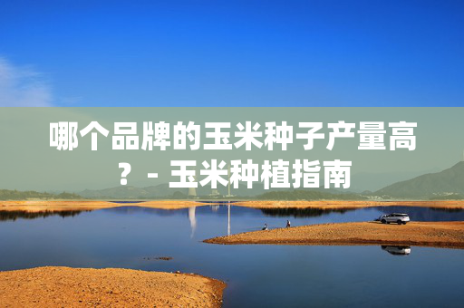 哪个品牌的玉米种子产量高？- 玉米种植指南