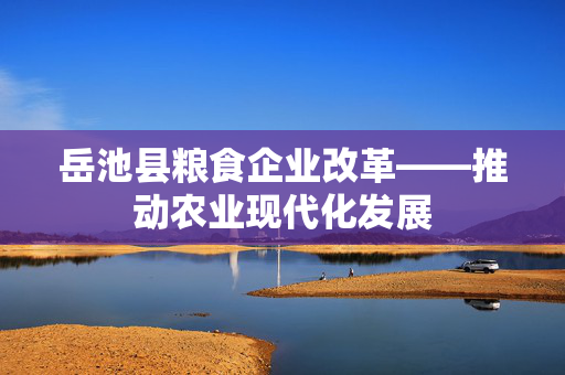 岳池县粮食企业改革——推动农业现代化发展