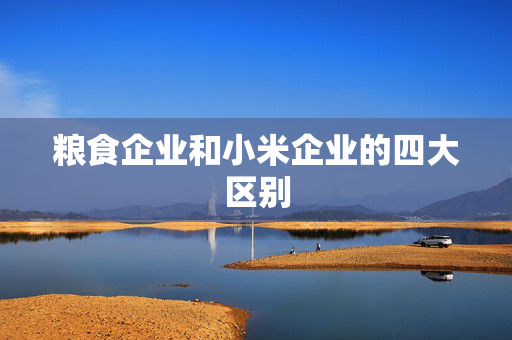 粮食企业和小米企业的四大区别