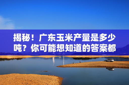 揭秘！广东玉米产量是多少吨？你可能想知道的答案都在这里