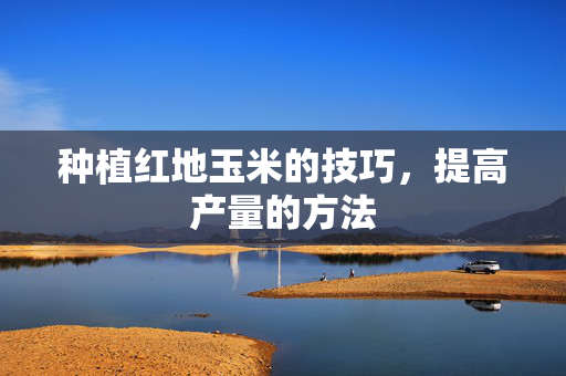 种植红地玉米的技巧，提高产量的方法