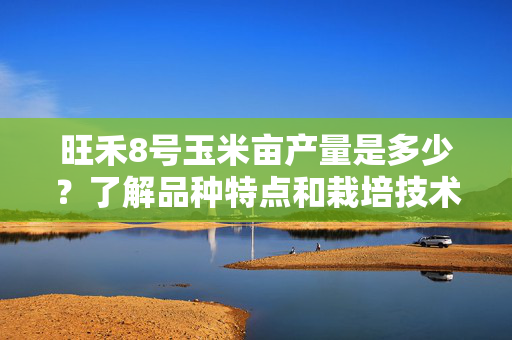 旺禾8号玉米亩产量是多少？了解品种特点和栽培技术