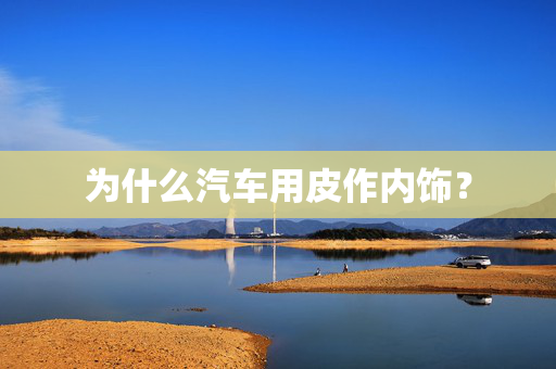 为什么汽车用皮作内饰？