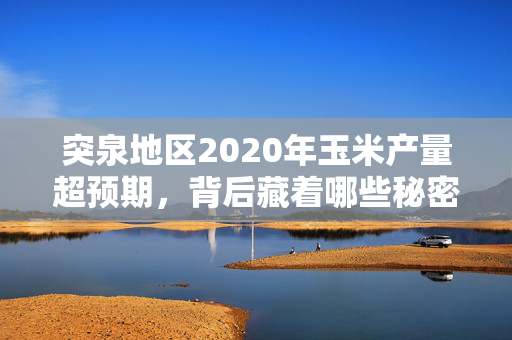 突泉地区2020年玉米产量超预期，背后藏着哪些秘密？