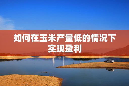 如何在玉米产量低的情况下实现盈利