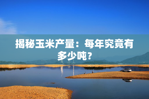 揭秘玉米产量：每年究竟有多少吨？