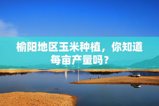 榆阳地区玉米种植，你知道每亩产量吗？