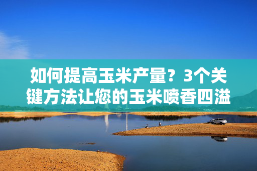 如何提高玉米产量？3个关键方法让您的玉米喷香四溢！
