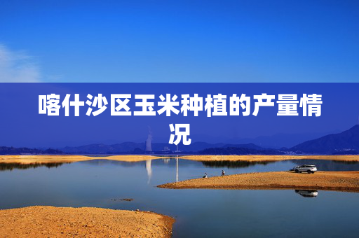 喀什沙区玉米种植的产量情况