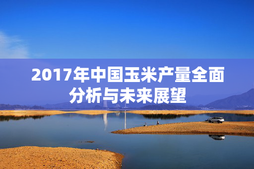 2017年中国玉米产量全面分析与未来展望