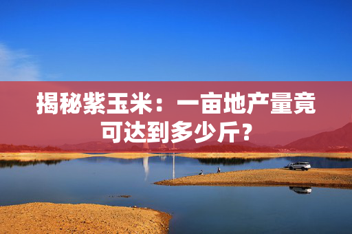 揭秘紫玉米：一亩地产量竟可达到多少斤？