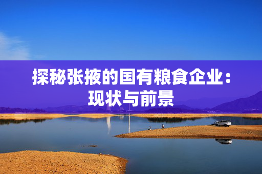 探秘张掖的国有粮食企业：现状与前景