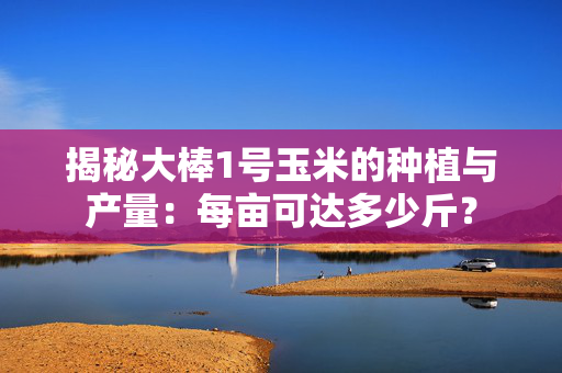 揭秘大棒1号玉米的种植与产量：每亩可达多少斤？
