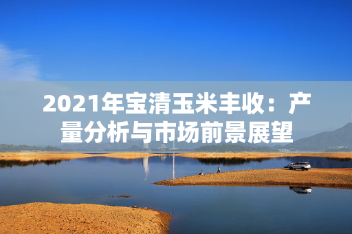 2021年宝清玉米丰收：产量分析与市场前景展望