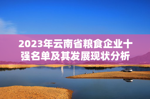 2023年云南省粮食企业十强名单及其发展现状分析