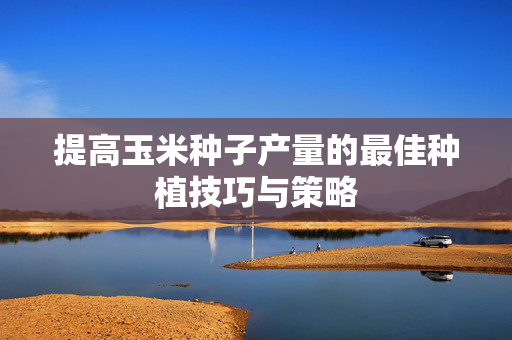 提高玉米种子产量的最佳种植技巧与策略