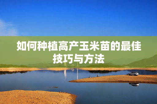 如何种植高产玉米苗的最佳技巧与方法