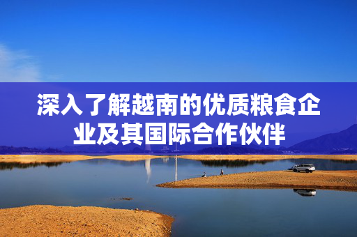 深入了解越南的优质粮食企业及其国际合作伙伴
