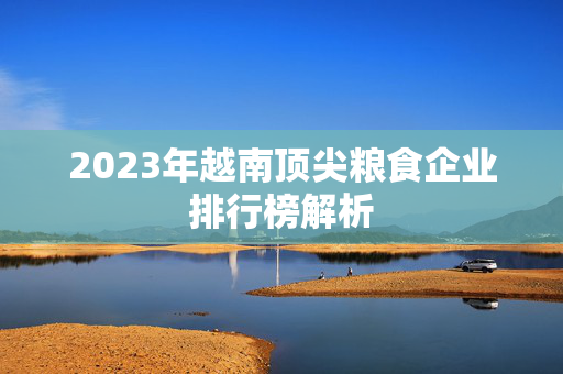 2023年越南顶尖粮食企业排行榜解析