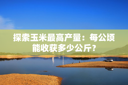 探索玉米最高产量：每公顷能收获多少公斤？