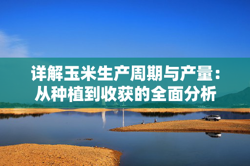 详解玉米生产周期与产量：从种植到收获的全面分析