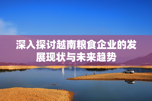 深入探讨越南粮食企业的发展现状与未来趋势