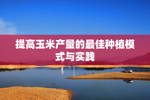 提高玉米产量的最佳种植模式与实践