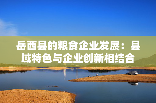 岳西县的粮食企业发展：县域特色与企业创新相结合