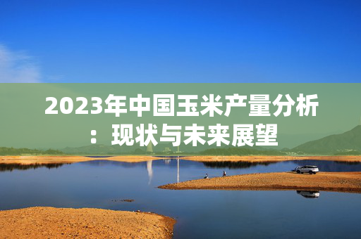 2023年中国玉米产量分析：现状与未来展望