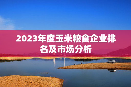 2023年度玉米粮食企业排名及市场分析