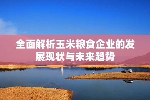 全面解析玉米粮食企业的发展现状与未来趋势