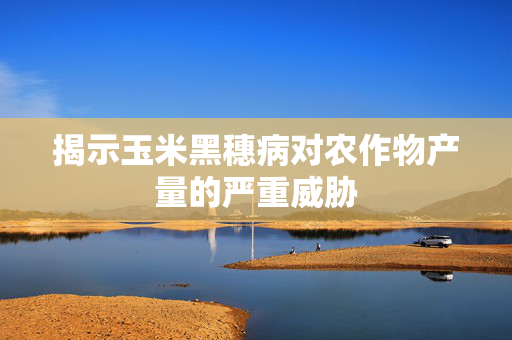 揭示玉米黑穗病对农作物产量的严重威胁