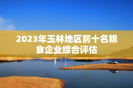 2023年玉林地区前十名粮食企业综合评估