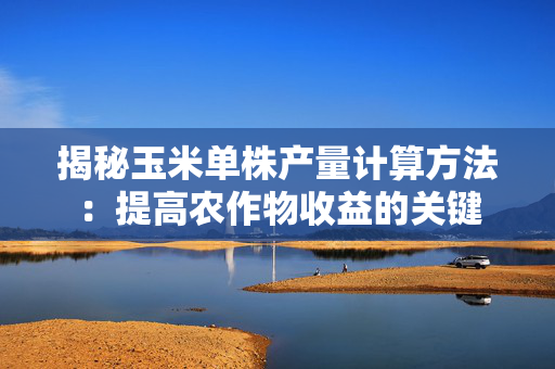 揭秘玉米单株产量计算方法：提高农作物收益的关键