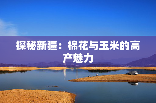 探秘新疆：棉花与玉米的高产魅力