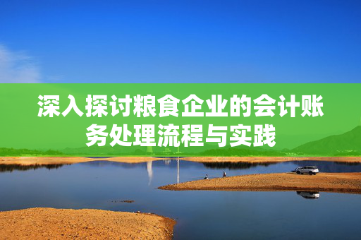 深入探讨粮食企业的会计账务处理流程与实践