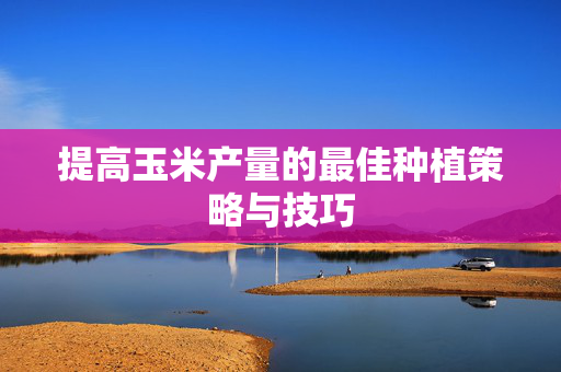 提高玉米产量的最佳种植策略与技巧