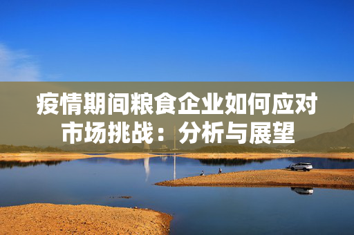 疫情期间粮食企业如何应对市场挑战：分析与展望